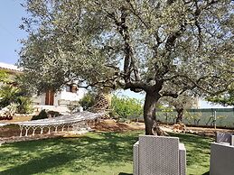 B&B All'Ombra degli Ulivi