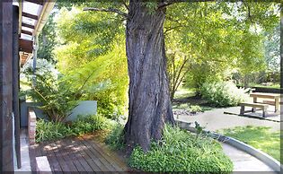 Andelomi Nature's Rest