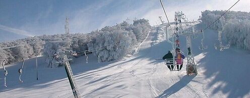 Saecula Natural Village Experience