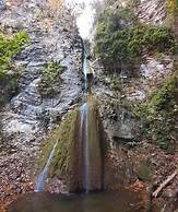 Saecula Natural Village Experience