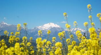 Saecula Natural Village Experience