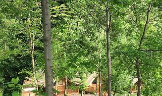 Saecula Natural Village Experience