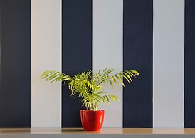 Oyster Box Guesthouse