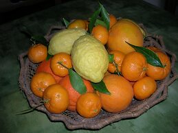 Agriturismo Baglio Donna Santa