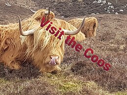 Applecross B&B and Cabins