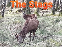 Applecross B&B and Cabins