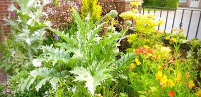 Copperfields Guesthouse