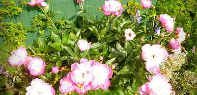 Copperfields Guesthouse