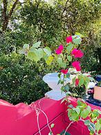 Reef Hostel & Pousada