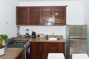 Apartment in Santiago