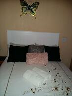 Pride Rock Accommodation