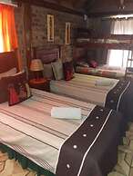 Pride Rock Accommodation