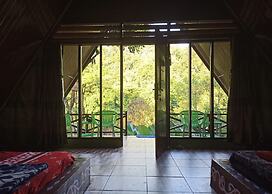 Green Forest Tangkahan