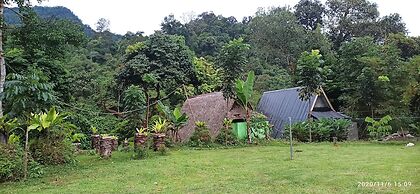 Green Forest Tangkahan