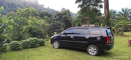 Green Forest Tangkahan