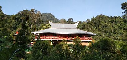 Green Forest Tangkahan