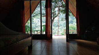 Green Forest Tangkahan