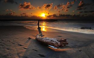 Seagulls Beach & Garden Cabanas