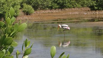 Seagulls Beach & Garden Cabanas