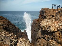 Seagulls Beach & Garden Cabanas