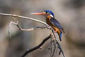 Seagulls Beach & Garden Cabanas