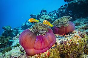 Kuredhivaru Resort & Spa Maldives