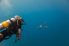 Kuredhivaru Resort & Spa Maldives