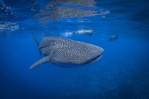 Kuredhivaru Resort & Spa Maldives