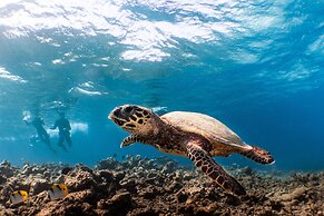 Kuredhivaru Resort & Spa Maldives