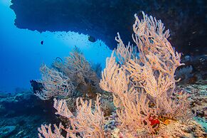 Kuredhivaru Resort & Spa Maldives