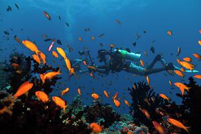 Kuredhivaru Resort & Spa Maldives