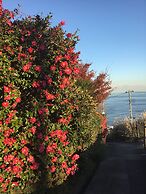 Japan Countryside Atami