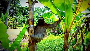 El Caribeo - Nature Lodge