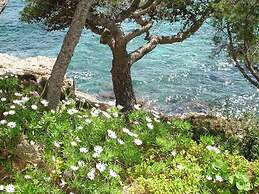 Apartamento Calafate 4