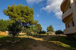 Nikis Dream Comfy Apartments