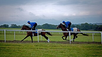 The Jockey Club Rooms