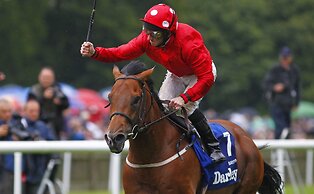 The Jockey Club Rooms