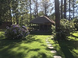 Verde Verde