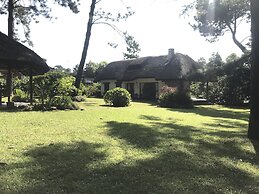Verde Verde