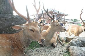 bnb+ Sarasa Nara - Hostel