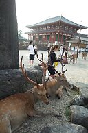 bnb+ Sarasa Nara - Hostel