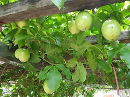 Shuanghui Garden B&B