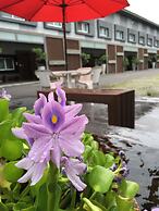 Nikaido Bussiness Hotel