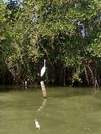 Gloriya Mathews Family Guest House