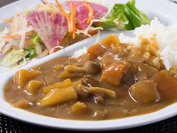 SUPER HOTEL Premier JR Nara Station