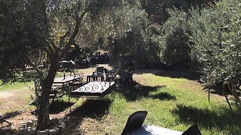 Cukurvadi Thermal Hotel