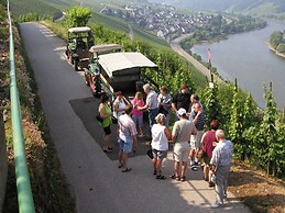 Ferienweingut Rainer Hirschen