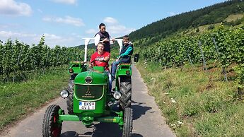 Ferienweingut Rainer Hirschen