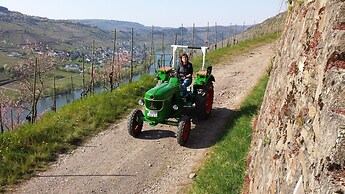 Ferienweingut Rainer Hirschen