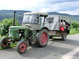 Ferienweingut Rainer Hirschen